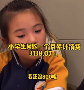 小学生网购一个月花了3000块钱 网友：家长要给小孩树立正确的消费观
