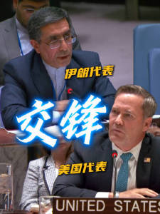 美伊代表安理会激烈交锋，华尔兹称所有选项已摆桌面