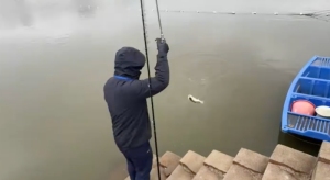 头一次见这么懂事的鱼！