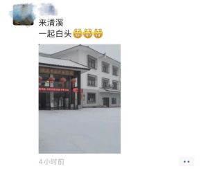 2026年益阳的第一场雪如期而至 网友分享下雪实拍