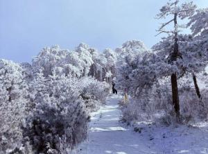 花240元门票上山 雪地却被围起收费 误解引发风波
