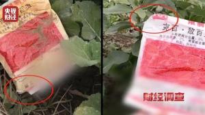 湖北天门回应央视曝光菜商用含毒农药 严查违规使用农药行为