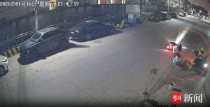 当地通报两女生骑电动车被狗追咬 事件引发广泛关注