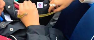 深圳地铁车厢内有人掏出活蛇玩耍 引发热议与关注