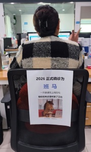 马年的梗还是太超前了