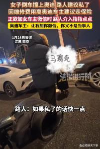 女子撞上奥迪车主建议走保险 路人插嘴引发争议