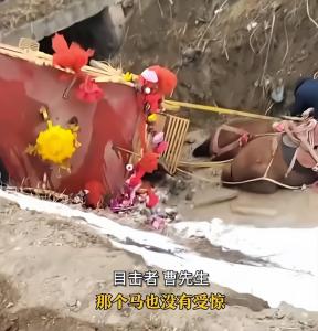 新人腊八结婚乘坐马车，没想到意外翻车掉进沟里 现实版“人仰马翻”