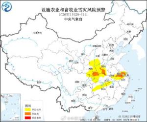 河南江苏等地雪灾风险高 湿雪加重垮塌风险