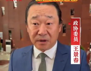 王景春委员：网络暴力成本太低，处罚力度太轻，各大平台要担负起责任