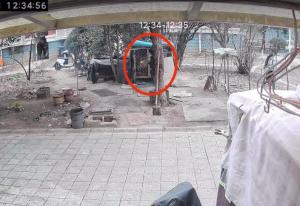 男孩玩火烧死宠物狗主人拒绝私了 家属愿赔6000元未果