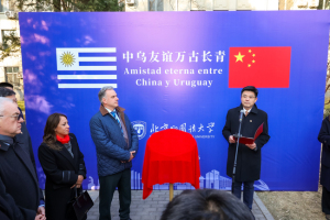 黄金这波反弹能持续吗 市场波动加剧