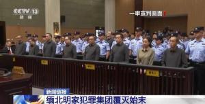 明珍珍当庭忏悔视频曝光 犯罪集团覆灭记