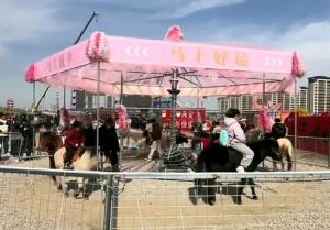 景区回应“旋转真马”被指虐待动物 暂停运营以避争议