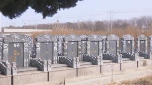 7年前买的空墓地被他人强占 老人落叶归根愿望受阻