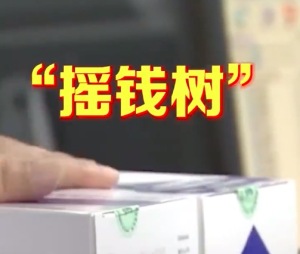 蒋胜男建议整治精神病医院骗保乱象 呼吁强化精神病院公益属性