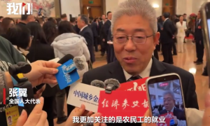 全国人大代表张翼谈农民工就业：加强转岗培训 重点谋划收入增长