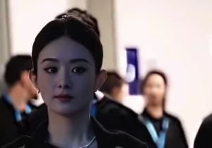 赵丽颖告黑维权案4月开庭