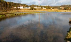 孩童溺亡家属起诉农田承包人被驳回 监护责任成焦点