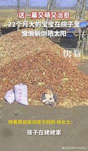 22个月大宝宝在院子里慵懒躺倒晒太阳 萌翻全网