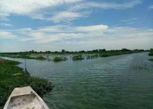 普通人养龙虾要避开这些坑 养殖需谨慎选择