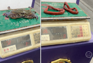 200多元买蟹 百来块“买绑绳” 螃蟹绑绳猫腻多