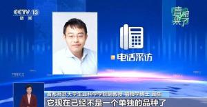 香蕉可能会灭绝？专家解答 无性繁殖风险解析