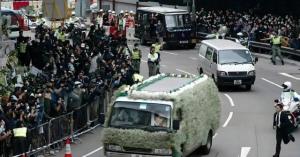 78岁老人离世天空群鹤盘旋半小时 仙鹤送别温暖人心