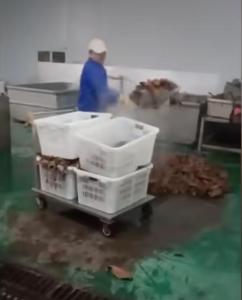 揭秘鹿哈与带货毛肚品牌深度关联 网红带货风波背后的真相