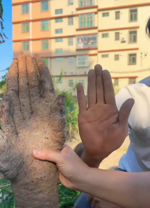 村民挖出长指甲盖的手掌山药 形态惟妙惟肖