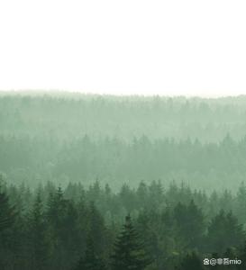 81岁精神病杀人男子被家属接回 引发公众争议