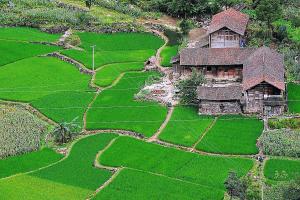 梅姨落网全过程揭秘 正义终到来