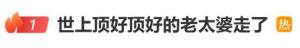 世上顶好顶好的老太婆走了 留下顶好顶好的爱