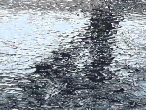 北京绵绵春雨，送来诗意清晨 春雨如灵动精灵