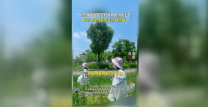 女儿来看演唱会 张杰现场喊话 为爱破例