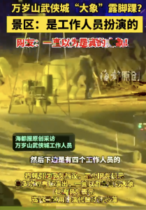 万岁山武侠城大象露脚踝？景区回应