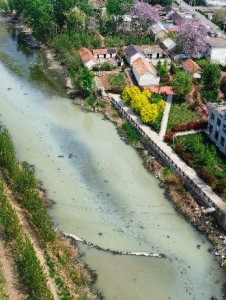 清水河变“牛奶河”！山东临沂一乡村河道污水横流、鱼虾绝迹、农田遭殃