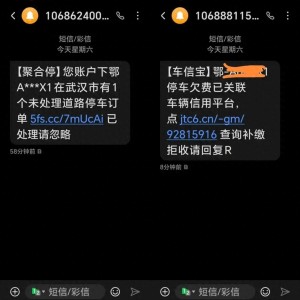 车主停车收到不同停车费催款信息！原来是它在“捣鬼”……城停公司：已报警