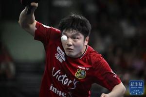 樊振东德甲胜率超90% 定海神针告别萨尔布吕肯