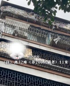 居民反对装电梯 养200多只猫报复 极端行为扰民不断