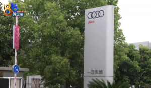 车主称30多万买奥迪不知车价含补贴 当时“懵懵懂懂”？