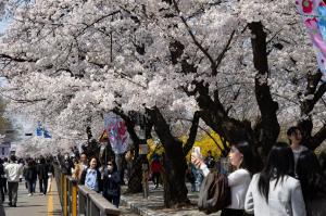 韩国西瓜销量暴涨 温暖天气推高需求
