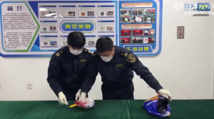 海关截获5颗熊胆