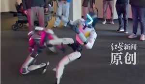 美国人形机器人格斗大赛上演中国德比！