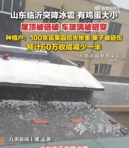 临沂突降鸡蛋大冰雹种植户发声 果园损失惨重
