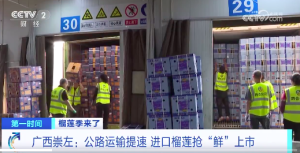 源源不断！泰国越南榴莲每天源源不断上新