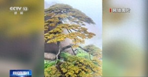 黄山迎客松开花实为旧闻！