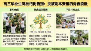 高三生爬枇杷树告别校园：藏着怎样的青春浪漫