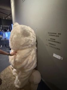 央美畢業(yè)展多件作品被毀 文明觀展亟待加強