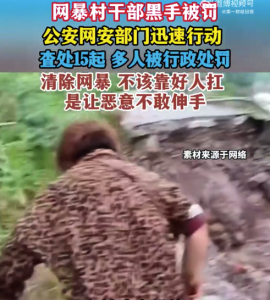 網(wǎng)暴村干部黑手被罰，查處15起，多人被行政處罰