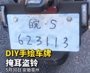 掩耳盜鈴！男子DIY手繪車牌上路被罰